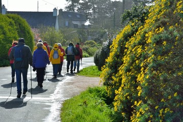 Group of hikers on the path in Brittany. France