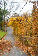 秋のローザンヌ　モントリオンの丘（スイス・ヴォー州）