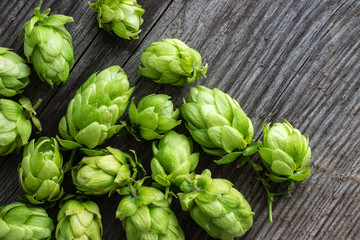Obraz premium Raw Green Hop Plants on Wooden Background