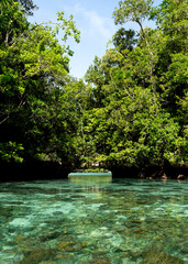 Palau's Rock Islands offer fantastic landscape for sea kayaking