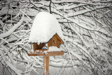 Naklejka premium Bird Inside Wooden Birdhouse Covered with Snow