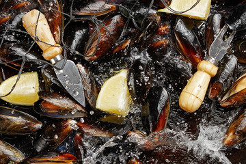 Many mussels with lemon slices in the net, water spray