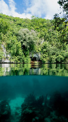 Over under shot while snorkeling and diving in Palau's Rock Islands