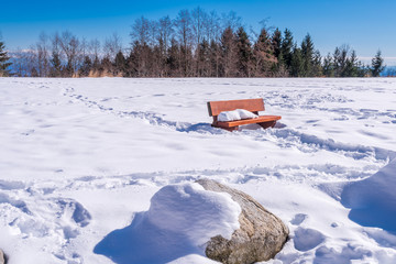 Snow Bench in Park.