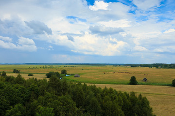 Fototapeta premium A rural landscape around the river in Estonia.