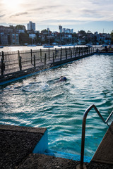 Maccallum Seawater Pool, Cremorne Point, Sydney, NSW, Australia