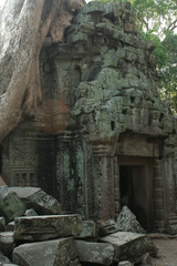 Naklejka premium Ta Prohm Temple, Angkor Wat