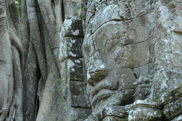 Face Carving at Ta Som Temple, Angkor Wat