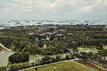 View over lush green foliage and landscape in Singapore with ships in the distance