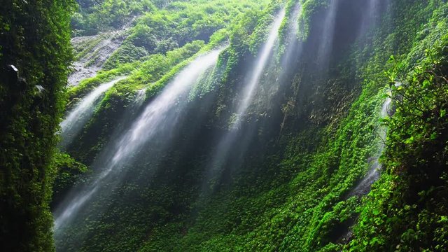 Madakaripura Waterfall, Bromo, Indonesia, tilt up.