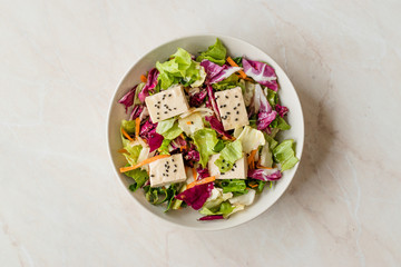 Organic Vegan Asian Tofu Salad with Red Cabbage, Lettuce and Carrot Slices.