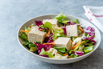 Organic Vegan Asian Tofu Salad with Red Cabbage, Lettuce and Carrot Slices.