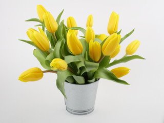 Bouquet of yellow tulips in bucket isolated on white
