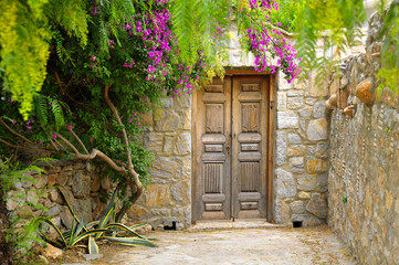 Fototapeta na wymiar old wooden door in garden