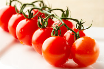 Raw of ripe red tomatoes on the branch with drops of water