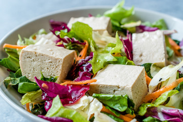 Organic Vegan Asian Tofu Salad with Red Cabbage, Lettuce and Carrot Slices.