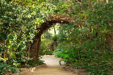 Wicker arch in the spring garden. Awakening of nature.