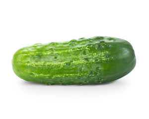 Cucumber