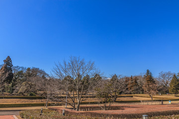  	冬の佐倉城跡の角馬出の風景