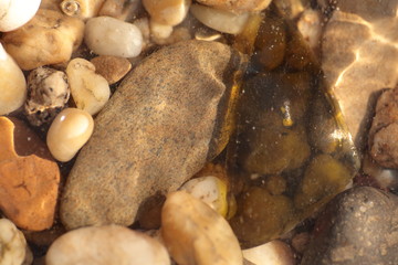 Bebbles of the Riverside