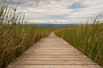 wooden walkway to the mountain