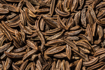 background of dried  cumin seeds