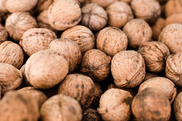 Natural walnut pattern texture, Raw bio walnuts background
