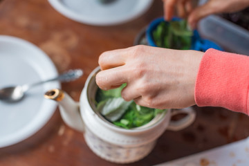woman's hand in the frame brews a fragrant summer tea from the leaves collected in the garden. Selective focus macro shot with shallow DOF