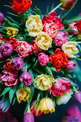 Fototapeta na wymiar Amazing Huge Colourful Bouquet of Tulips for Mother Day