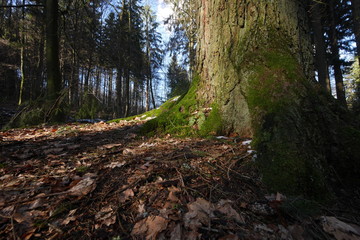 vereise Silbermmühle im Silberbachtal Teutoburger Wald