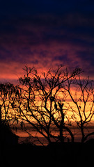 Fototapeta premium por do sol salvador