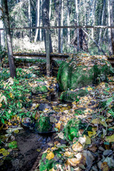 a small waterfall that is in the forest