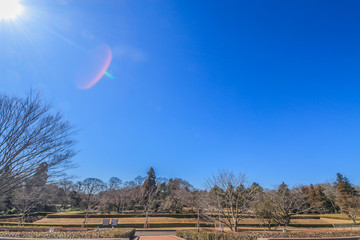 冬の佐倉城跡の角馬出の風景