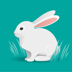 Cute White bunny Rabbit Cartoon Vector Illustration