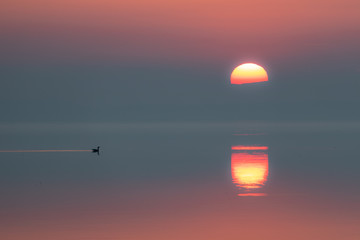 lonely