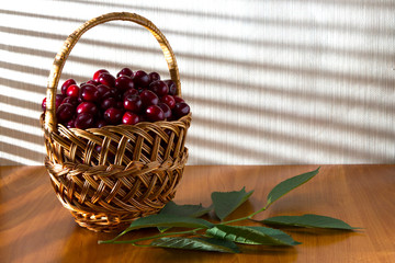 Fototapeta na wymiar Berries of red, juicy and sweet cherries, in a basket on the morning table