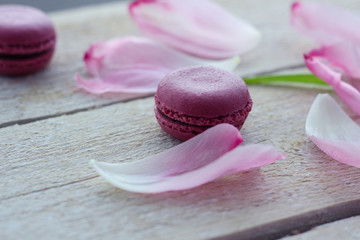 romantic delicate composition with pink flowers and macaroon cakes.