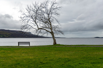 bench in the park with nice view to the lake and mountain