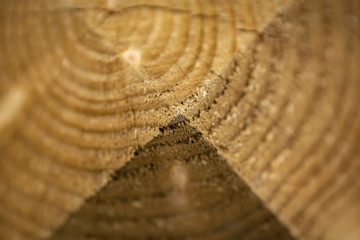 abstract background of wooden pattern close up