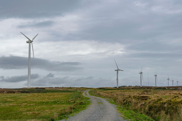 wind turbines in the field