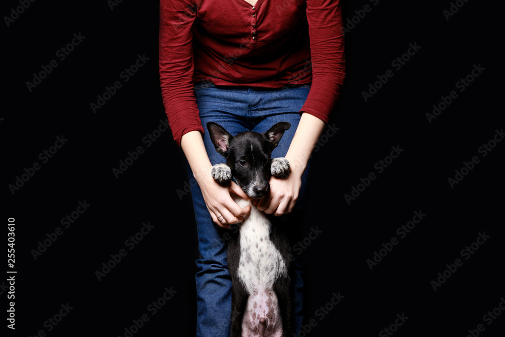 Wall mural cropped view of woman with mongrel dog on hind legs isolated on black