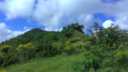 Obraz premium Vegetazione nell'appennino umbro marchigiano