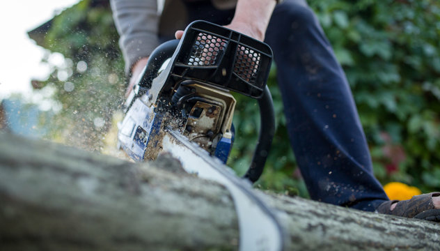 Photo of man with chainsaw sawing log in forest