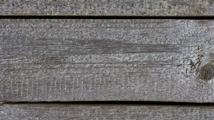 Wooden boards, which under the influence of water and sun rays, became gray.