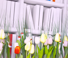 bookshelves and tulips, beautiful spring light composition, reading, development