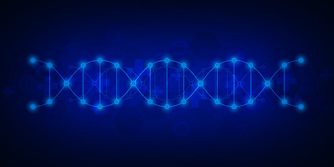Fototapeta premium DNA strand background and genetic engineering or laboratory research. Medical technology and science concept.