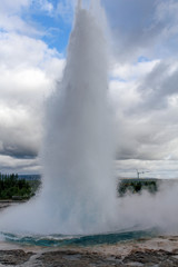 geyser in Iceland
