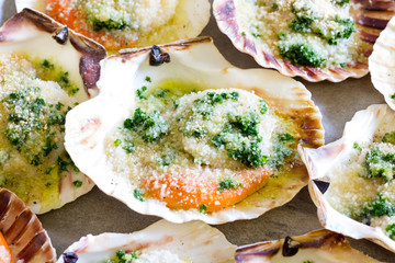 Raw  scallops au gratin