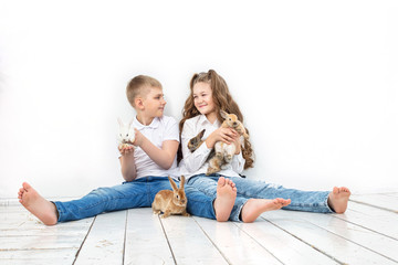 Children boy and girl happy with a beautiful fluffy little Bunny rabbits on the white background of the wall