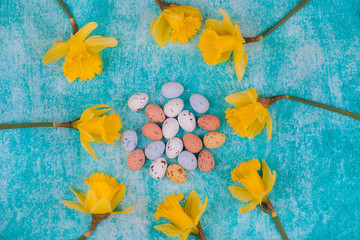 Easter chocolate quail eggs with spring yellow flowers narcissus on light blue background.